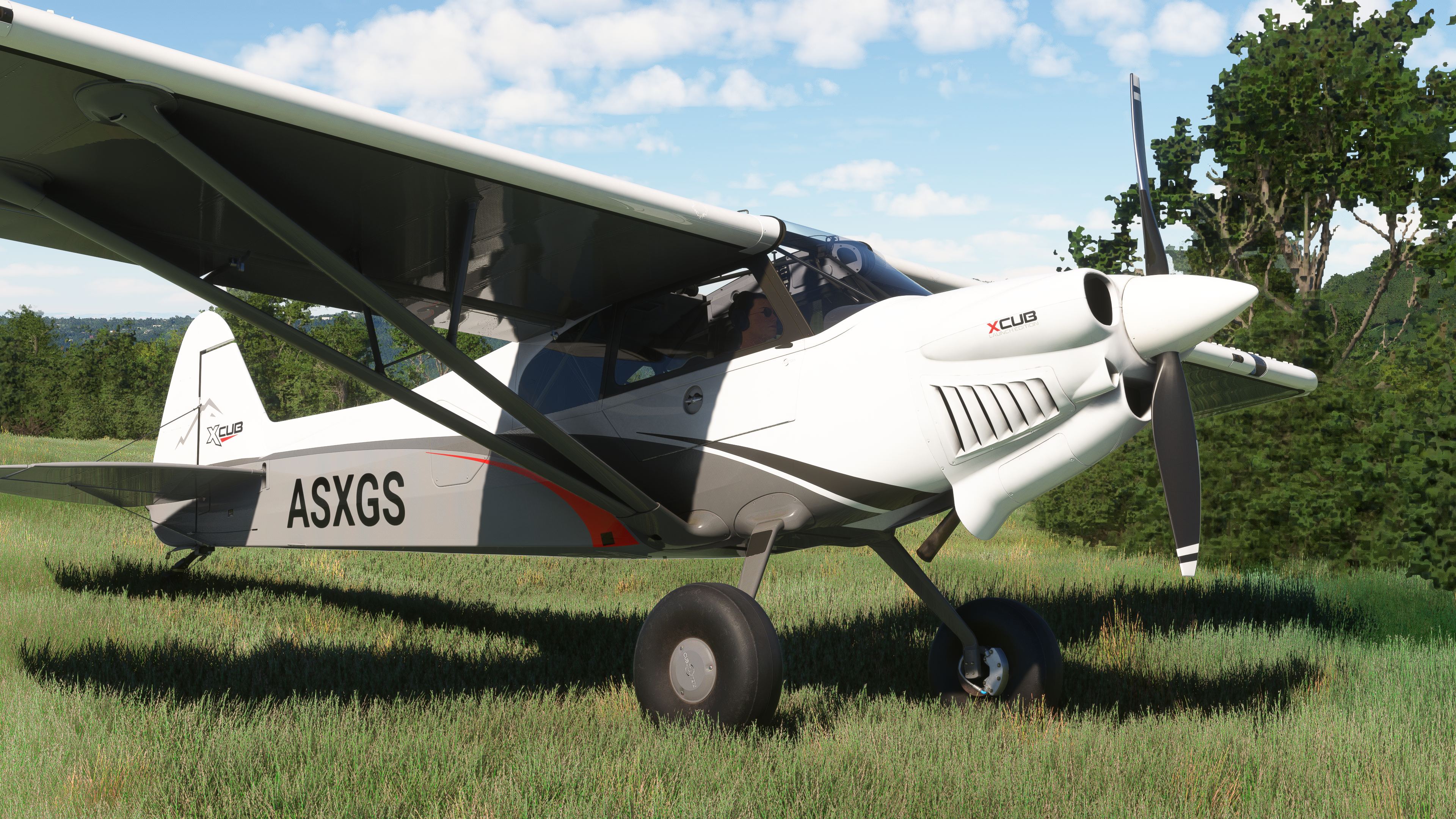 Microsoft Flight Simulator 2024 - Imagen 8